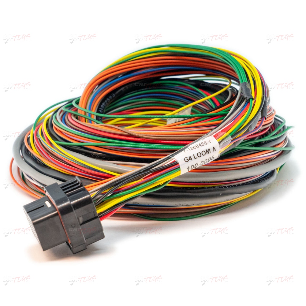 Link ECU A Loom Medium – #2LA 101-0005