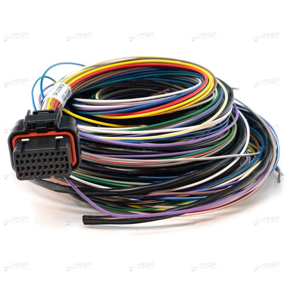 Link ECU B Loom Medium – #2LB 101-0006