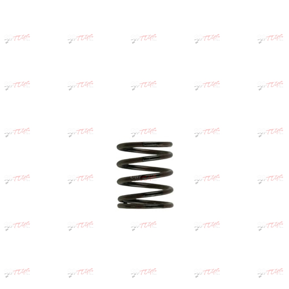 Turbosmart Gen4 WG38/40/45/50L HP 25 PSI Outer Spring Brown/Green (TS-0505-2013) main image 1