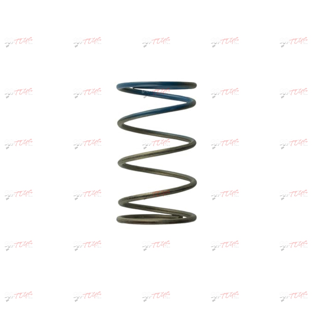 Turbosmart Gen4 / IWG WG38/40/45/50L 10PSI OUTER SPRING – BROWN/BLUE