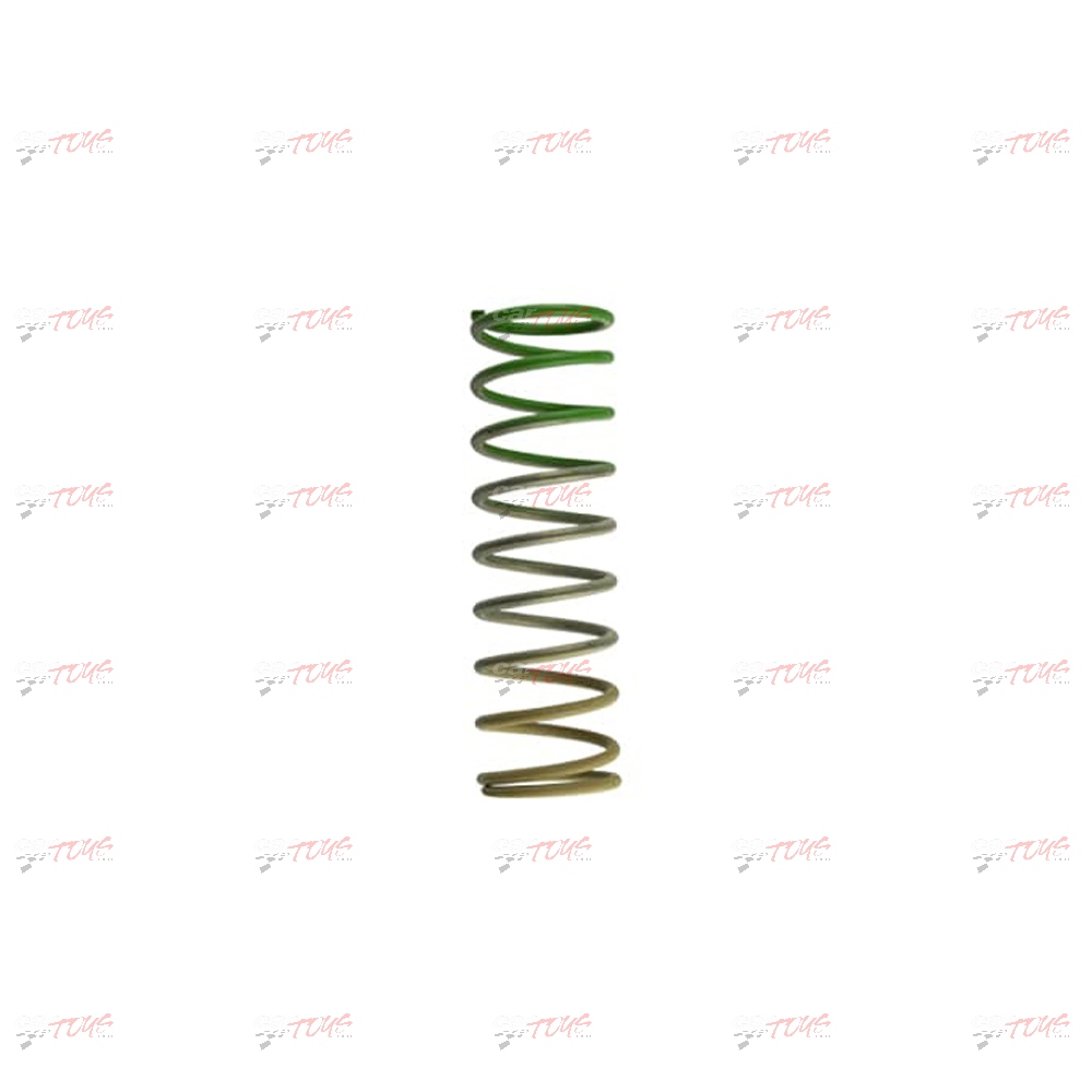 Turbosmart Gen4 WG38/40/45/50L HP 25 PSI Outer Spring Brown/Green