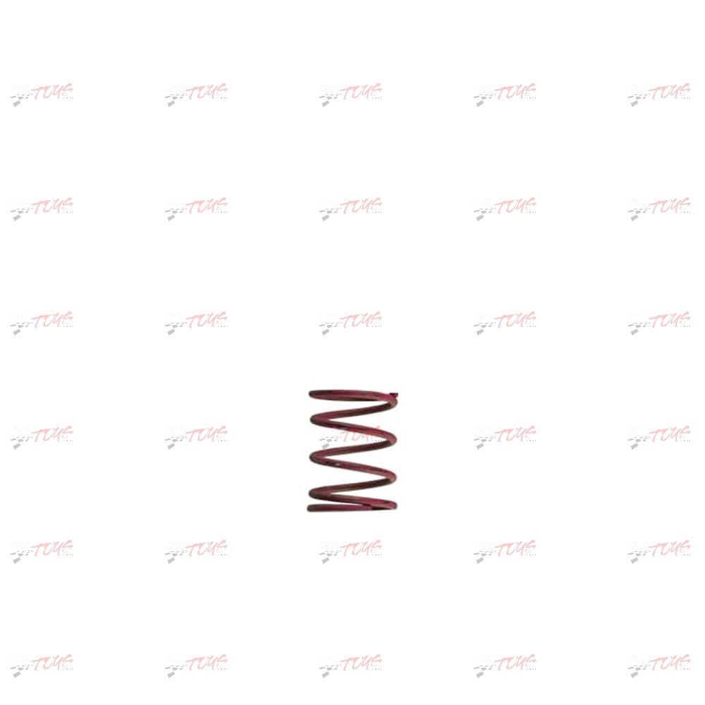 Turbosmart GenV WG38/40 7psi Pink Middle Spring