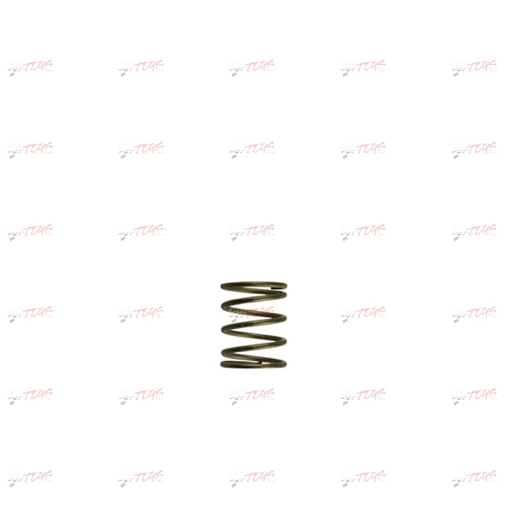Turbosmart GenV WG45/50 3psi Orange Inner Spring