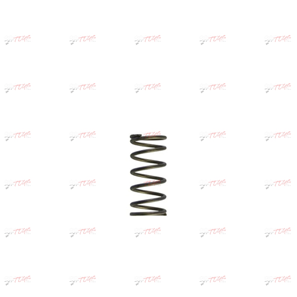Turbosmart GenV WG60 5psi Purple Inner Spring