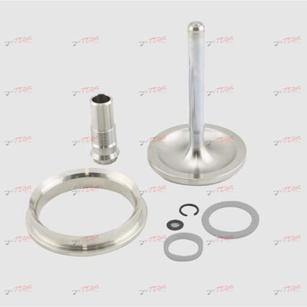 Turbosmart GenV WG60 Valve & Guide Set